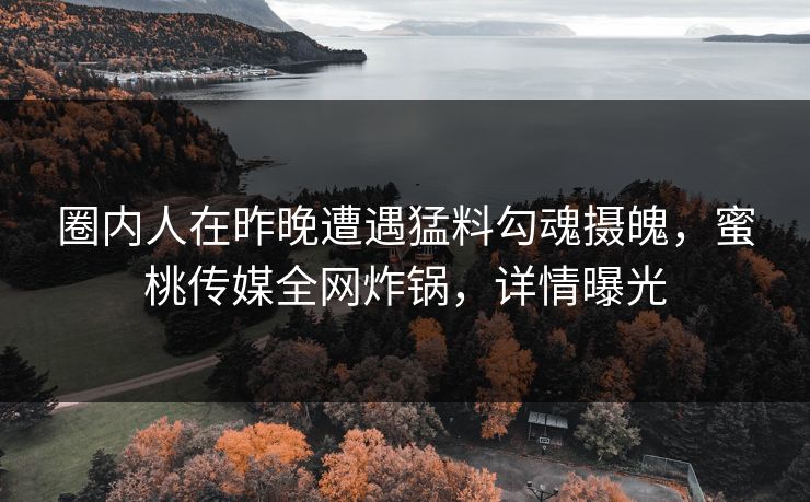 圈内人在昨晚遭遇猛料勾魂摄魄，蜜桃传媒全网炸锅，详情曝光